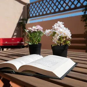 https://atico-santa-maria-en-el-corazon-de-cadiz.hotelsincadiz.net